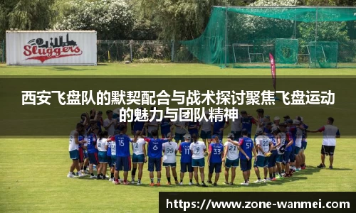 西安飞盘队的默契配合与战术探讨聚焦飞盘运动的魅力与团队精神